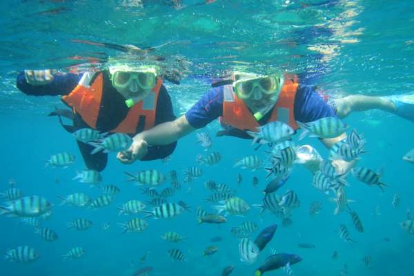 Tioman Snorkeling Tour Packages