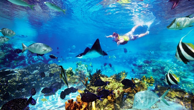 (2020) 3d2n Lang Tengah Summer Bay Resort Snorkeling ...