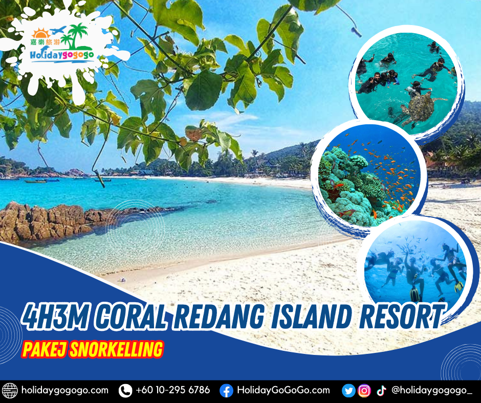 4h3m Coral Redang Island Resort Pakej Snorkelling