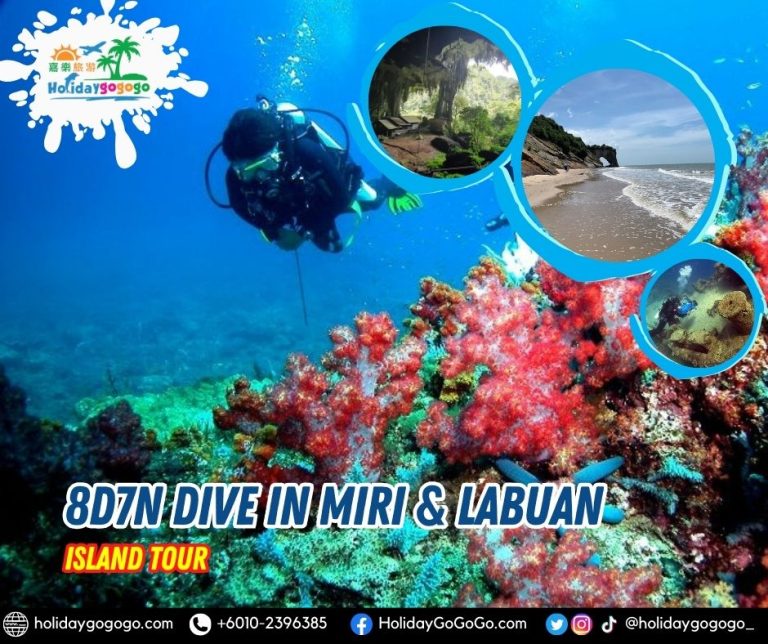 8d7n Dive in Miri & Labuan Island Tour