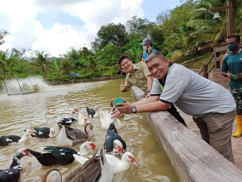 Bentong Farm Activity