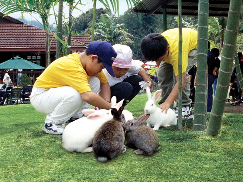 Colmar Tropicale Rabbit Park