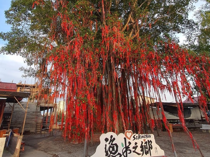 Sekinchan Wishing Tree