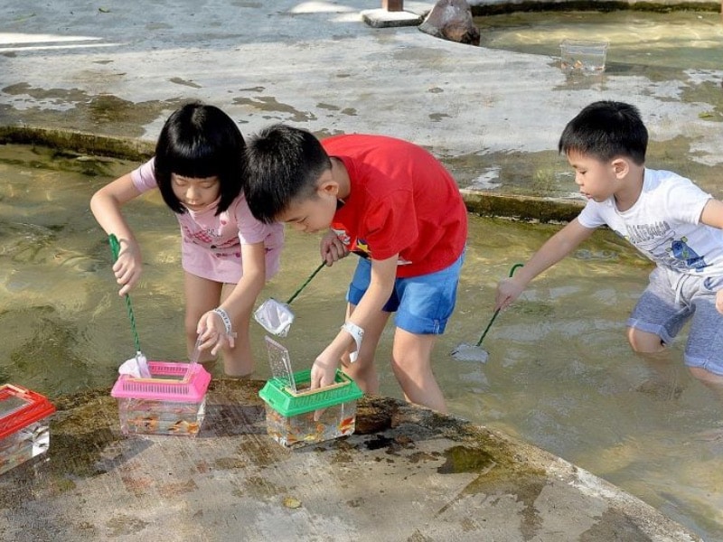 Fishing at farm’s longkang