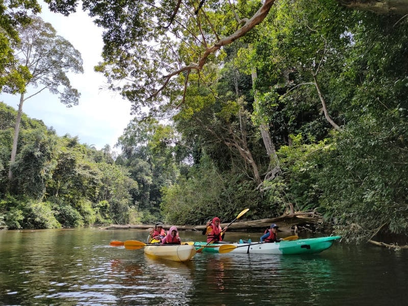 Kinchin River Kayak