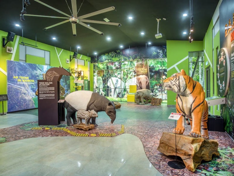 Rainforest discovery centre