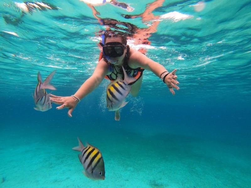 Snorkelling experience