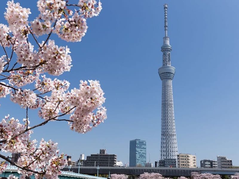 Tokyo Skytree