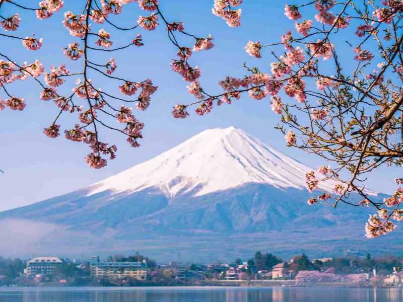 Mount Fuji View