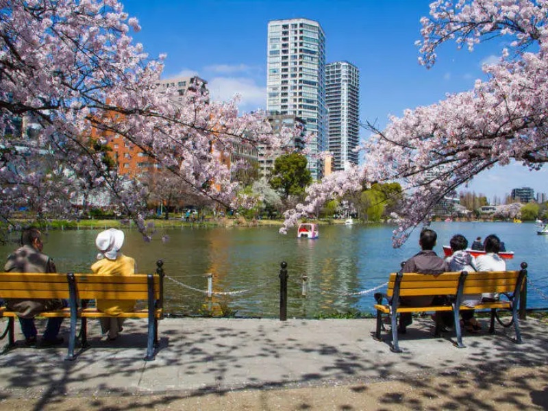 Ueno Park