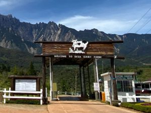 The main entrance of Desa Dairy Farm located in Sabah 