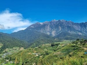 Mount Kinabalu against a blue sky with green scenery in front of it 