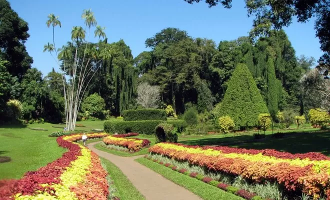 Penang Botanical Gardens - The Nature Finest - HolidayGoGoGo